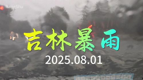 今日头条杨树街,今日头条聚焦的繁华街区